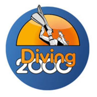 Diving2000