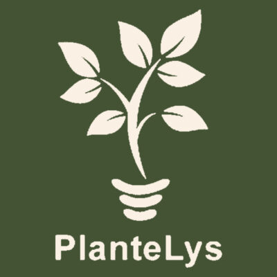 PlanteLys